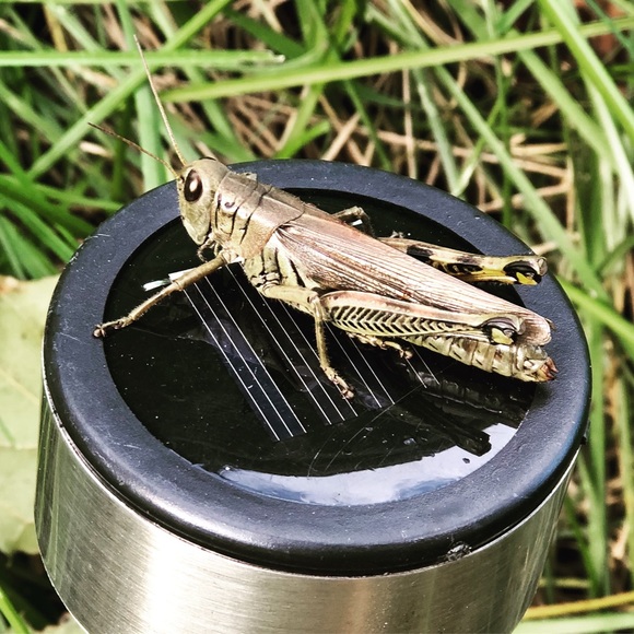 Meet your Posher, Barbara - Picture 1 of 1